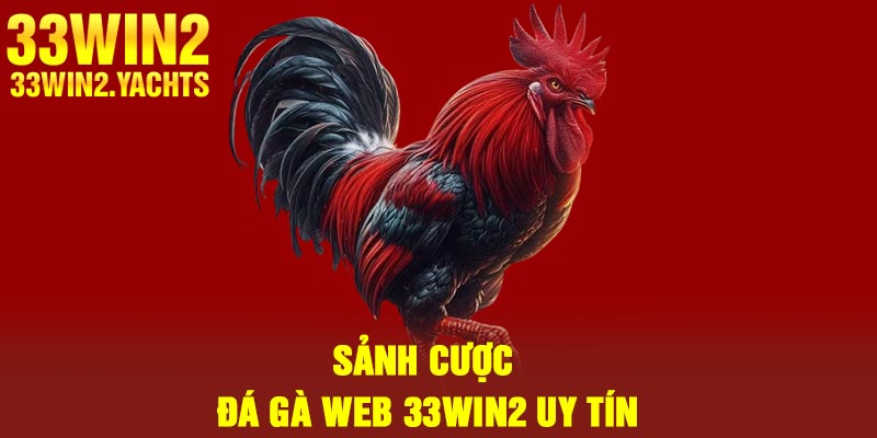 Sảnh cược đá gà web 33Win2 uy tín