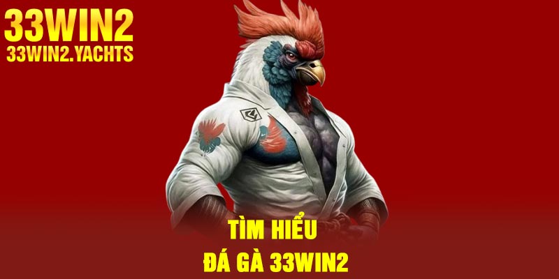 Tìm hiểu đá gà 33Win2