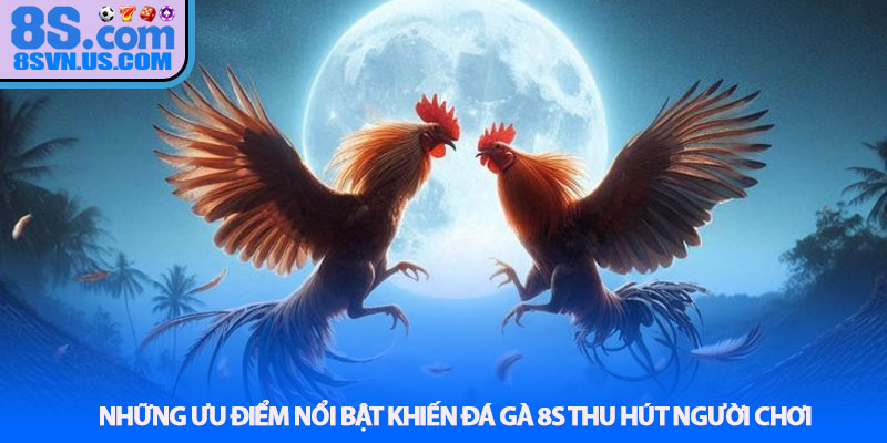 Những ưu điểm nổi bật khiến Đá gà 8S thu hút người chơi