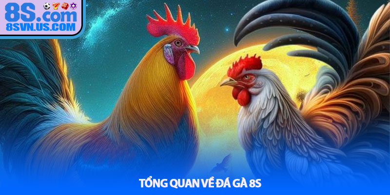 Tổng quan về Đá gà 8S